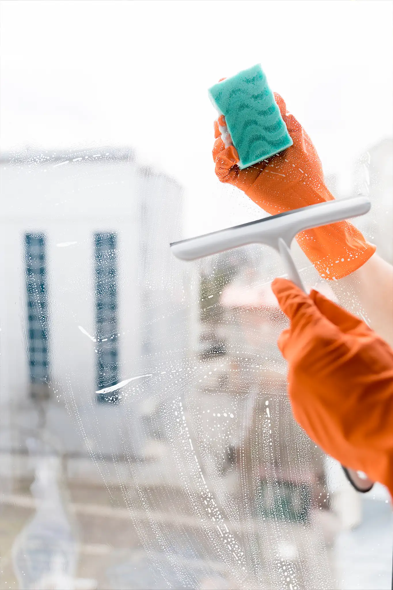 Window Cleaning Services in & near Syosset, NY