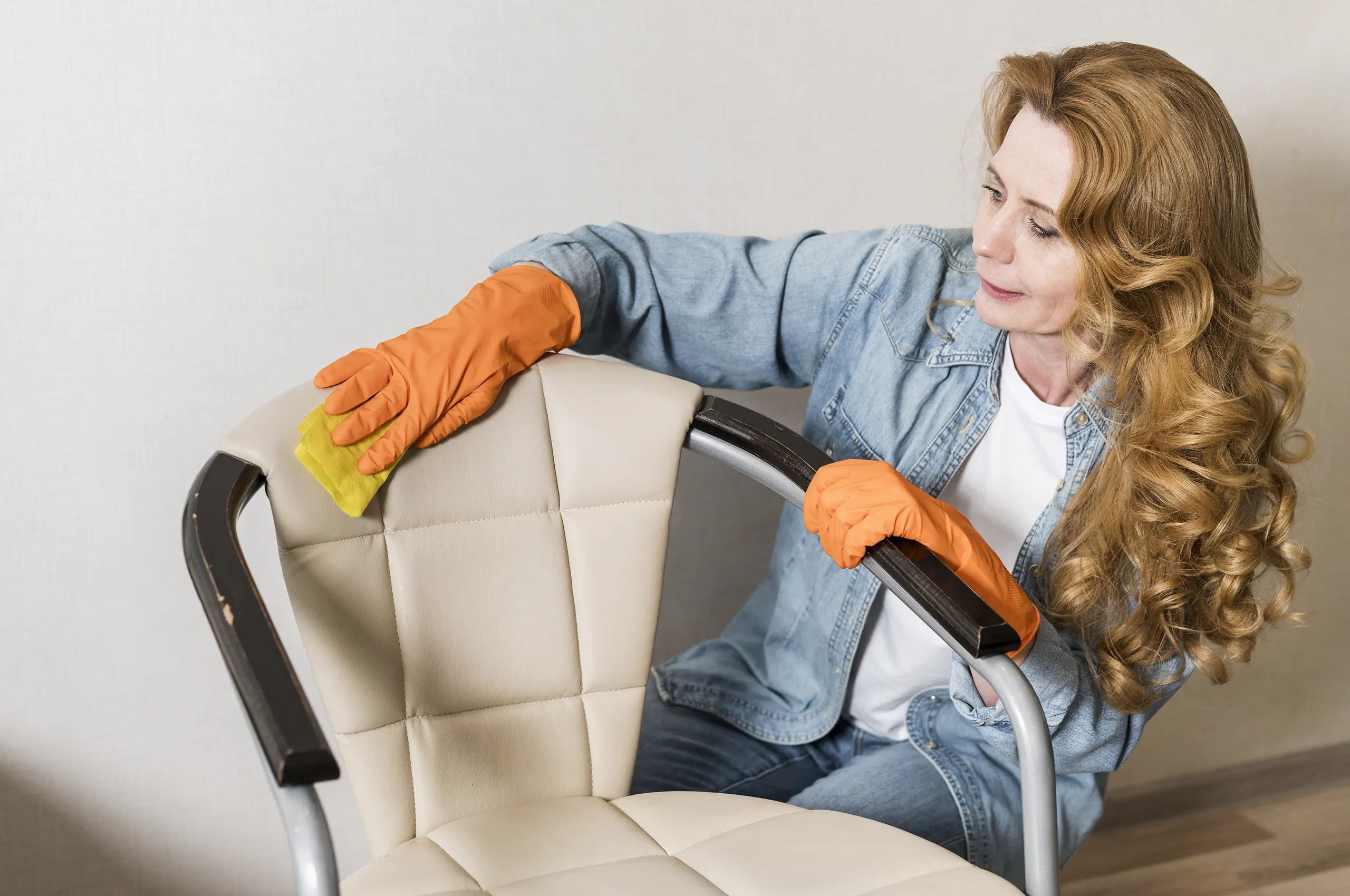 Furniture Cleaning Services