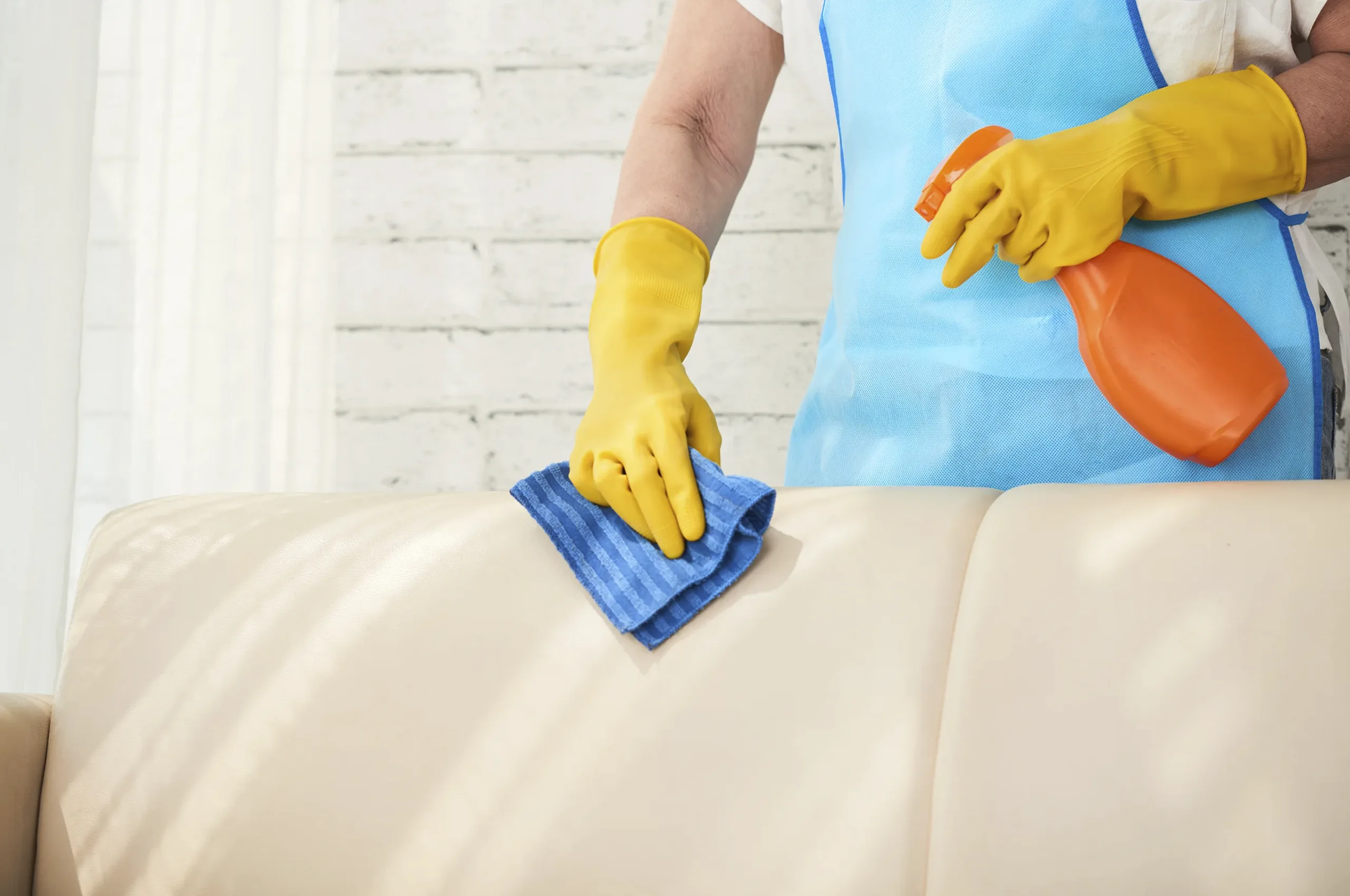 Furniture Cleaning Services